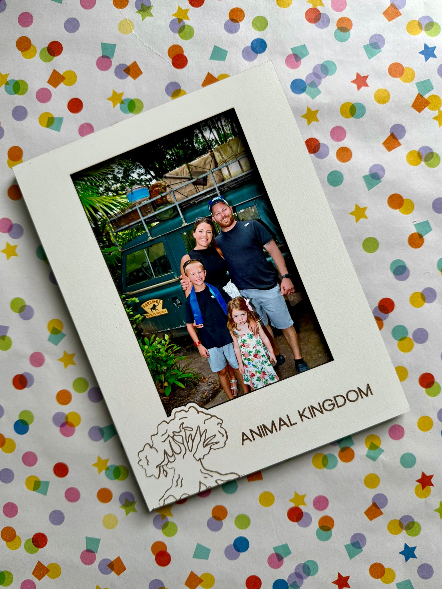 Four Parks Picture Frames, Magic Kingdom, Hollywood Studios, Animal Kingdom, EPCOT, Gallery Wall Frames, Character Autograph Souvenir