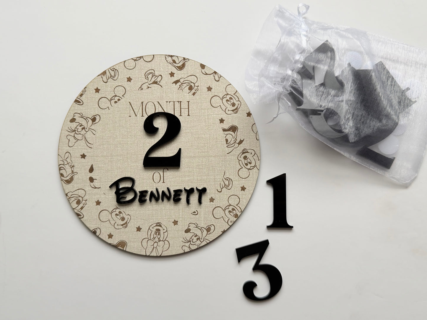 Mickey & Friends Monthly Milestone Disc