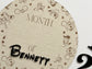 Mickey & Friends Monthly Milestone Disc