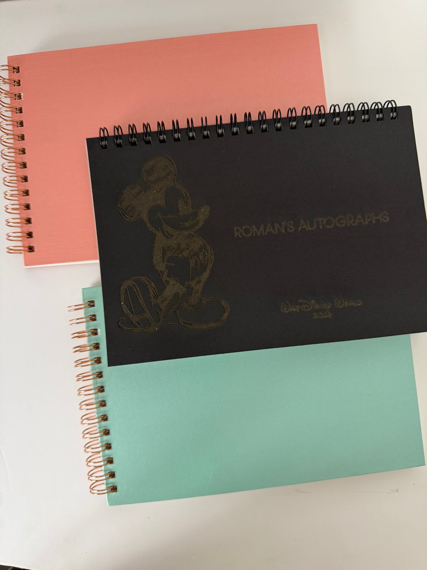Custom Park Memory Book for Disney Trips | Character Signature Album | Mickey or Minnie Design | Disney Gift